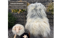 IJslandse schapenvachten – Natuurlijke schoonheid en kwaliteit van Adam Leather